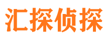 额敏侦探